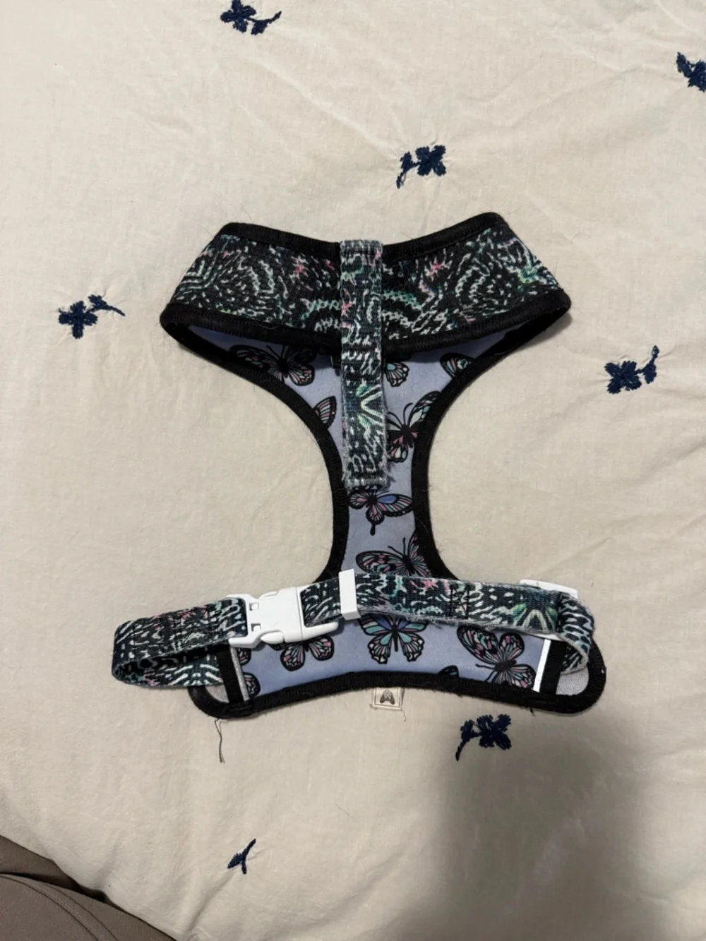 Two frenchie Harness bundle